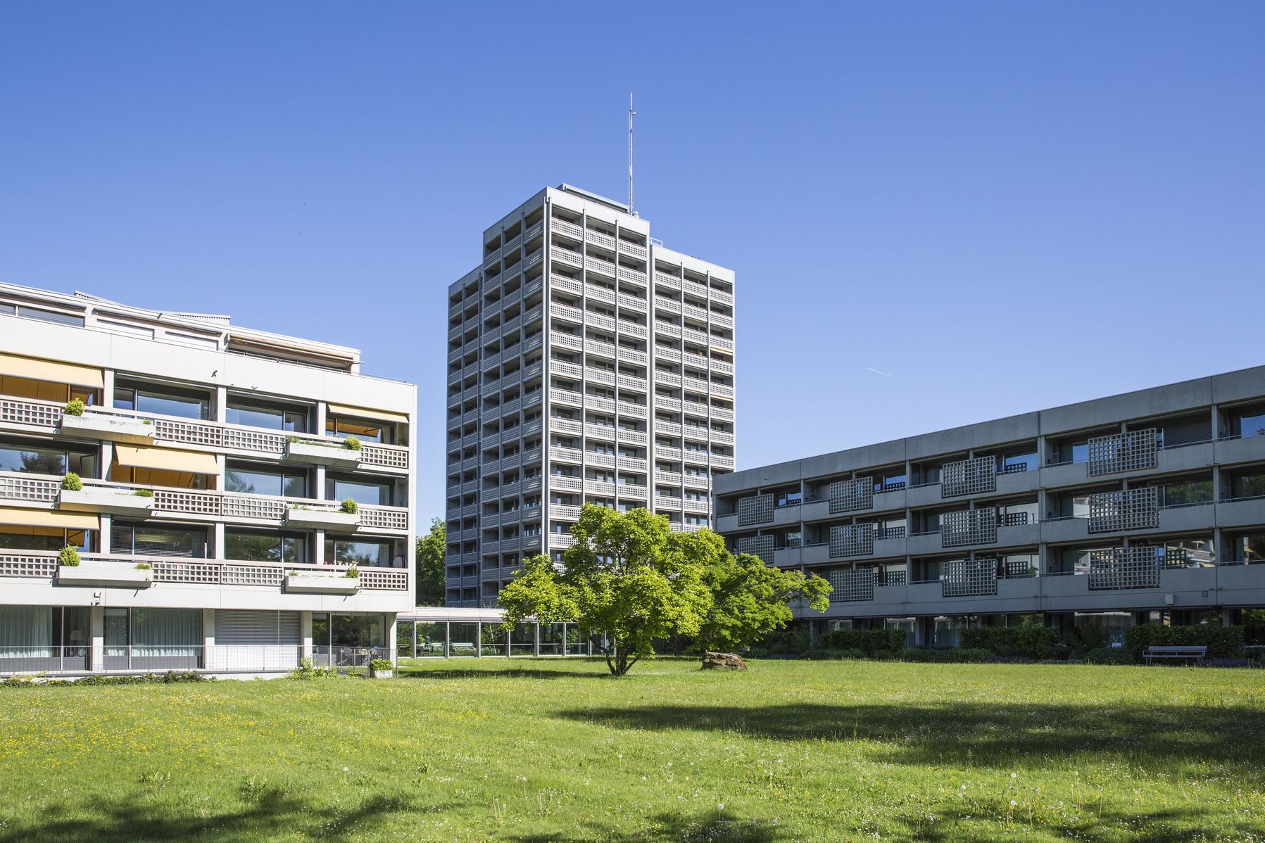 Burgerspittel im Viererfeld