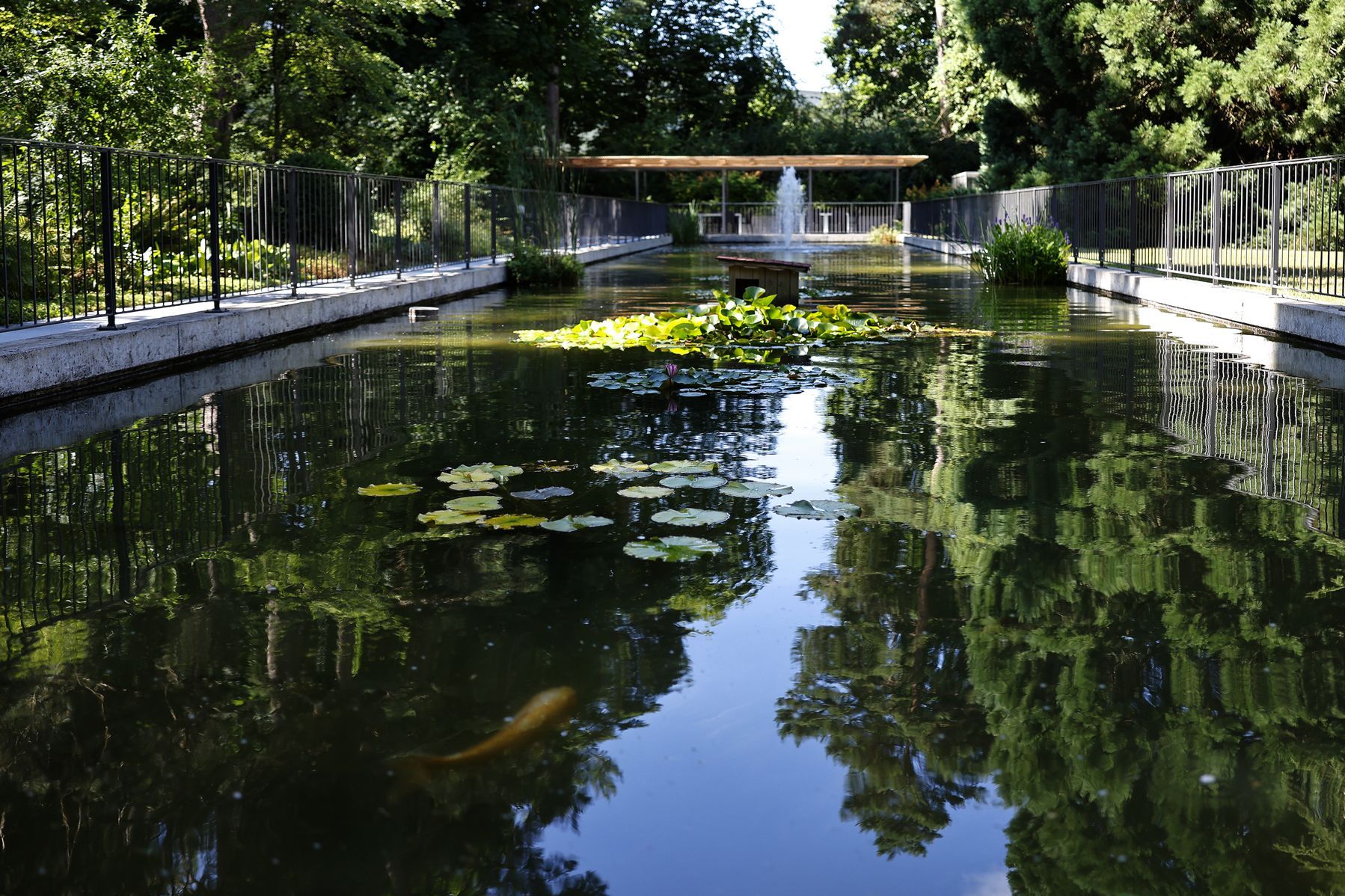 Burgerspittel im Viererfeld: Teich mit Vogelvoliere
